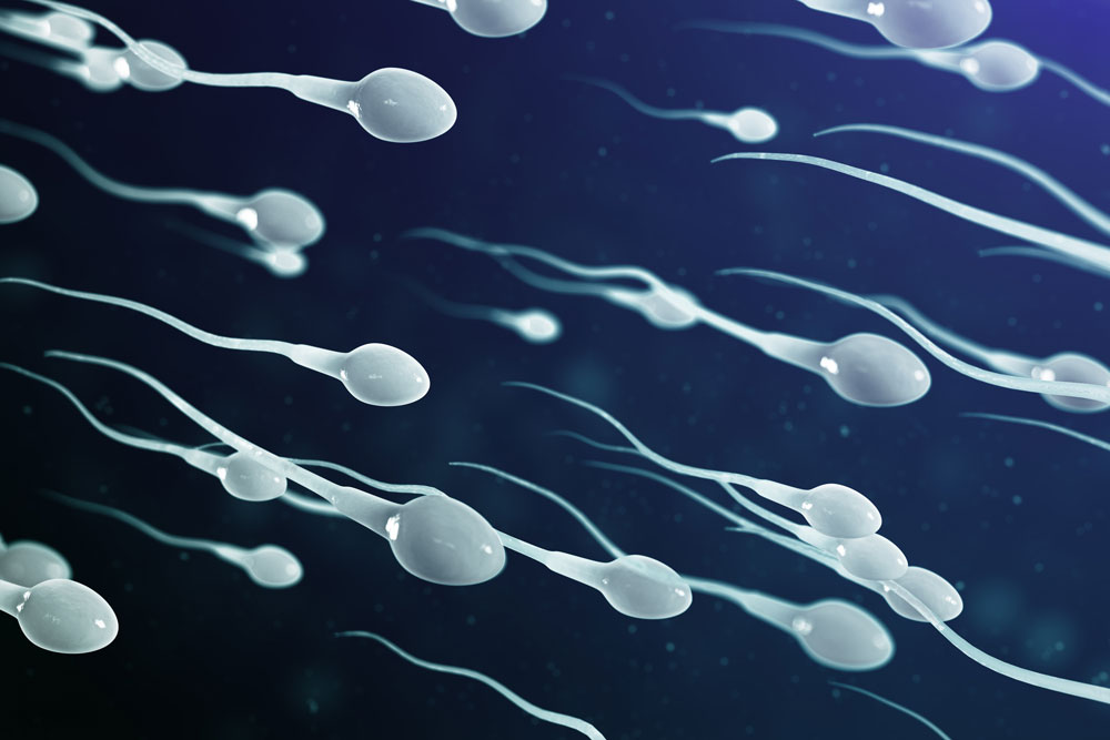3 Reasons Why You Have Watery Sperm