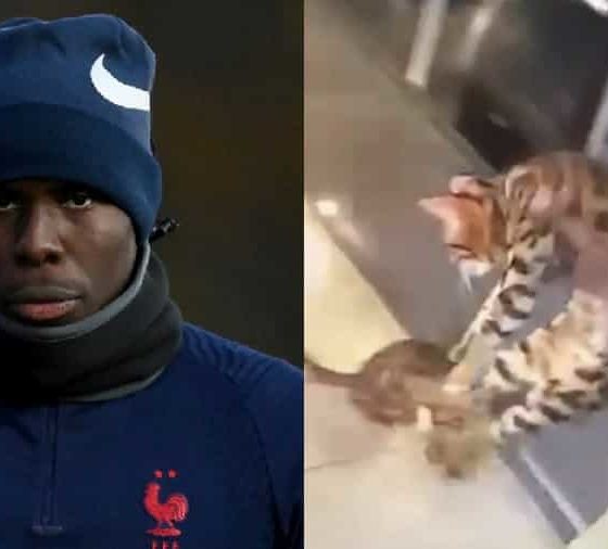 Kurt Zouma's Brother Suspended By Club For Taping 'Cat Abuse Video'