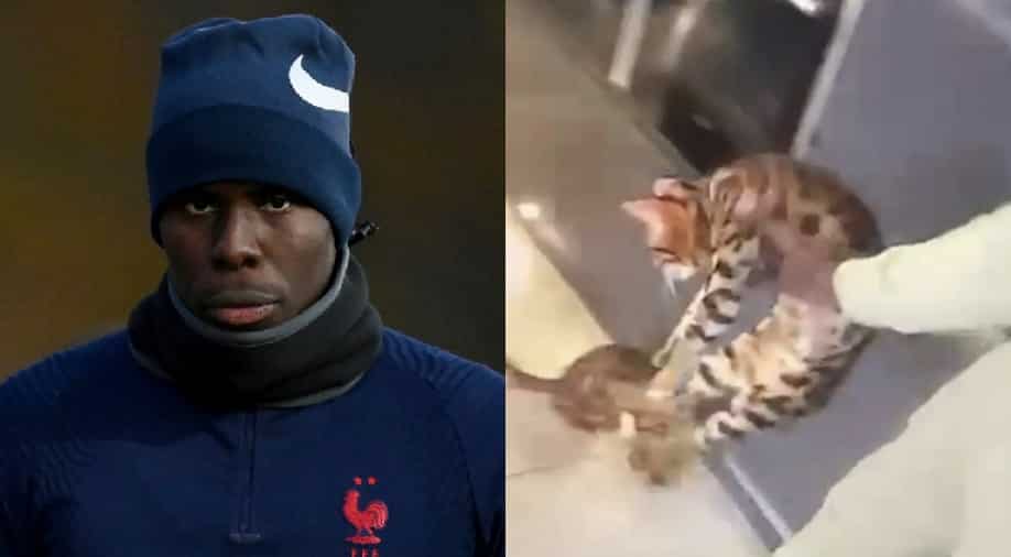 Kurt Zouma's Brother Suspended By Club For Taping 'Cat Abuse Video'