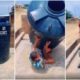 Lady causes stir after tank falls on her while doing #DropItChallenge