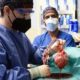 Pig Heart Transplant