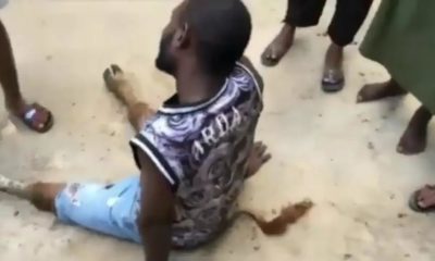 Man Turns Into Cow After Ch0pp!ng Married Woman [Video]